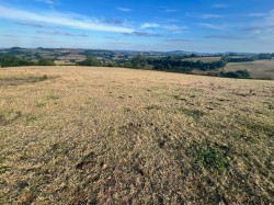 Images for Woolminstone, Crewkerne