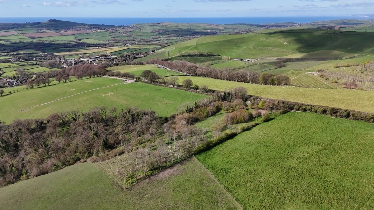 Images for Dorchester