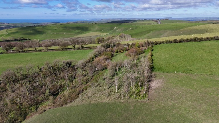 Images for Dorchester