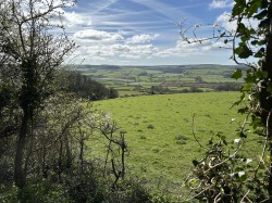 Images for Dorchester