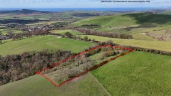 Images for Dorchester