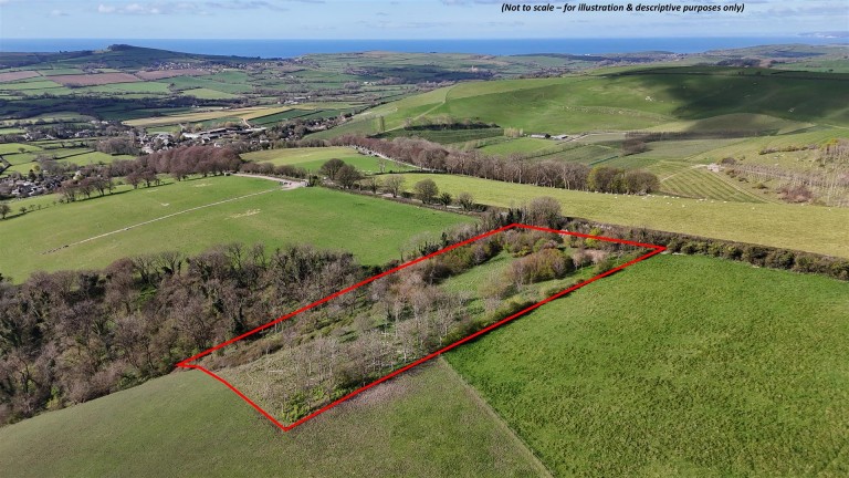 Images for Dorchester