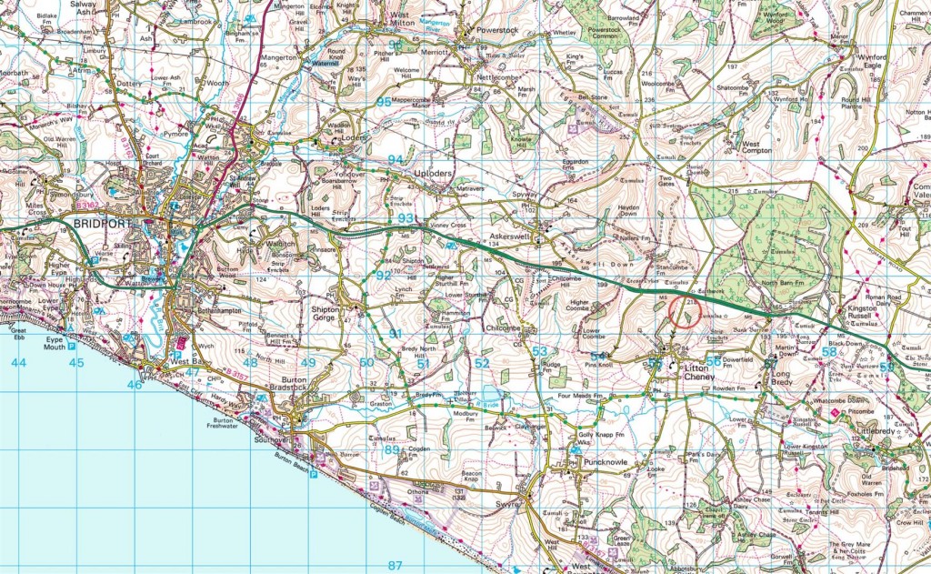 Floorplans For Dorchester