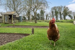 Images for West Street, Fontmell Magna, Shaftesbury