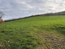 Images for Dunsford, Exeter