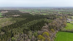 Images for Woodland at Minterne Magna, Minterne Magna, Dorchester