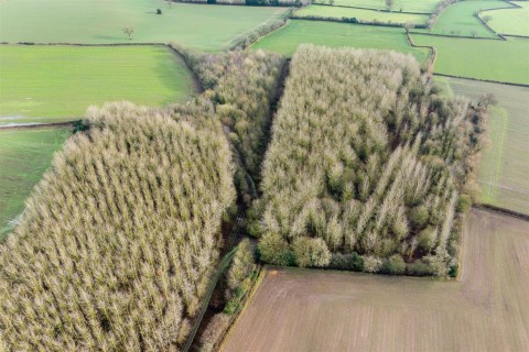 Click the photo for more details of Main Street, Swepstone
