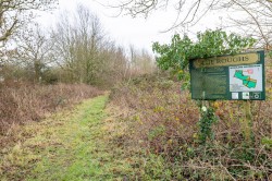 Images for Main Street, Swepstone