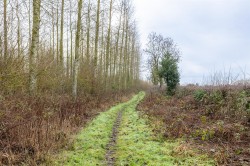 Images for Main Street, Swepstone