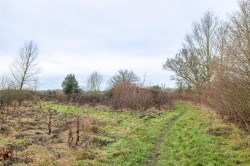 Images for Main Street, Swepstone