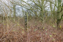 Images for Main Street, Swepstone