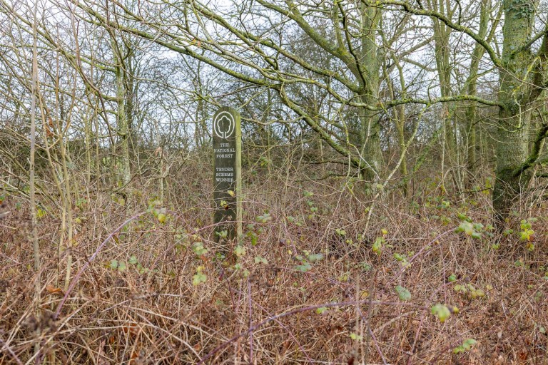 Images for Main Street, Swepstone