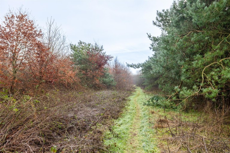 Images for Swepstone Road, Swepstone