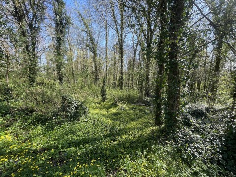 Click the photo for more details of Bradford Lane, Longburton, Sherborne