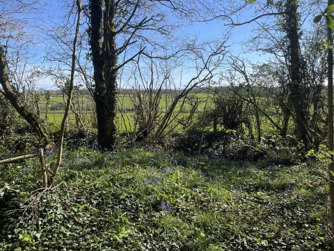 Click the photo for more details of Bradford Lane, Longburton, Sherborne