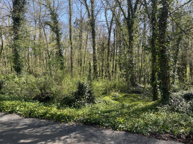 Images for Bradford Lane, Longburton, Sherborne