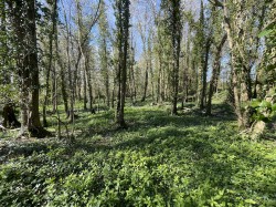 Images for Bradford Lane, Longburton, Sherborne