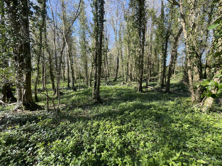 Images for Bradford Lane, Longburton, Sherborne