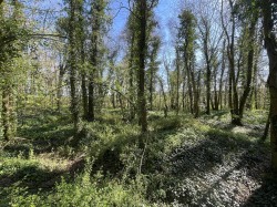 Images for Bradford Lane, Longburton, Sherborne