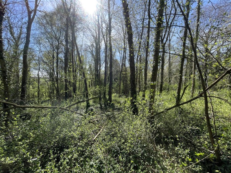 Images for Bradford Lane, Longburton, Sherborne