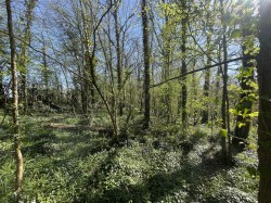 Images for Bradford Lane, Longburton, Sherborne