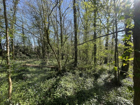 Click the photo for more details of Bradford Lane, Longburton, Sherborne