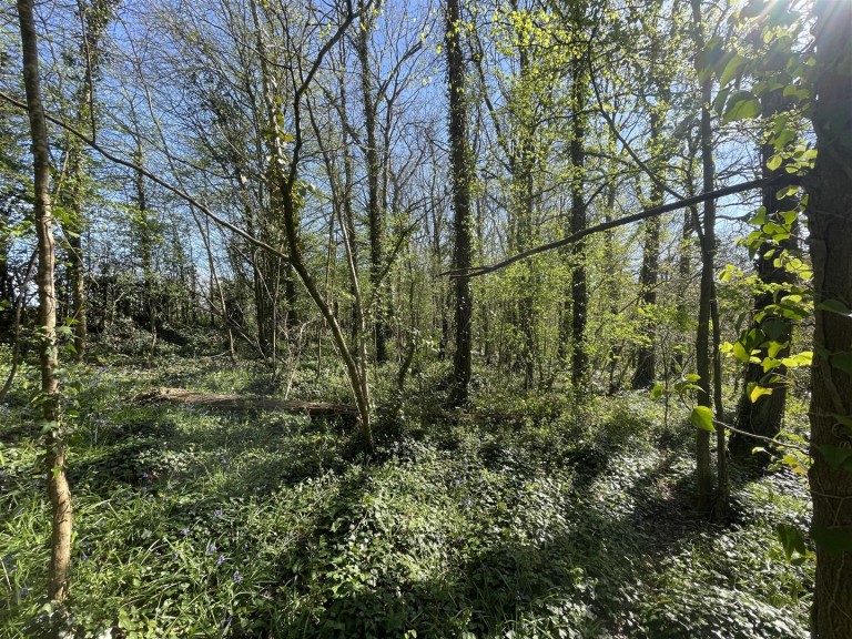 Images for Bradford Lane, Longburton, Sherborne