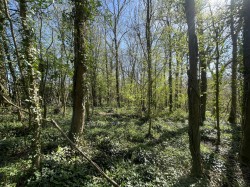 Images for Bradford Lane, Longburton, Sherborne