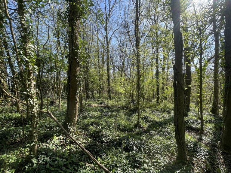 Images for Bradford Lane, Longburton, Sherborne