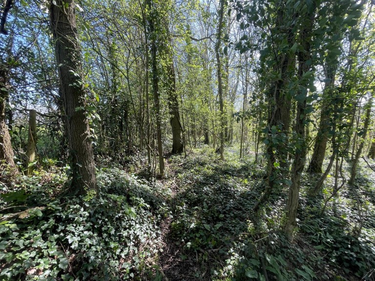 Images for Bradford Lane, Longburton, Sherborne