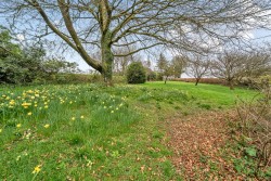 Images for Waddicombe, Dulverton