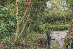 Images for Tregenna, Blisland