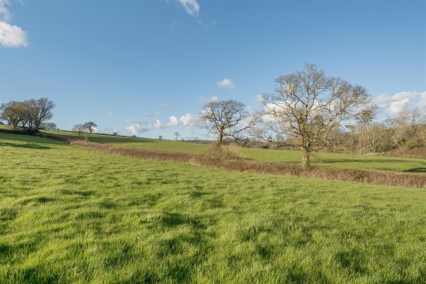 Click the photo for more details of Land at Lower Hogchester, Charmouth