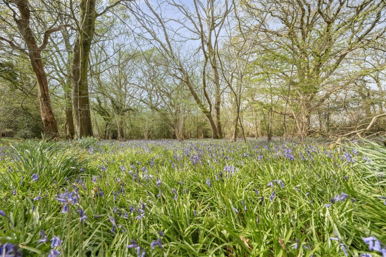 Images for Sleight Lane, Corfe Mullen, Wimborne