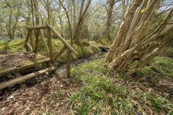 Images for Sleight Lane, Corfe Mullen, Wimborne