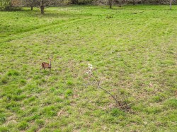 Images for Sleight Lane, Corfe Mullen, Wimborne