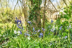 Images for Shute Road, Kilmington, Axminster