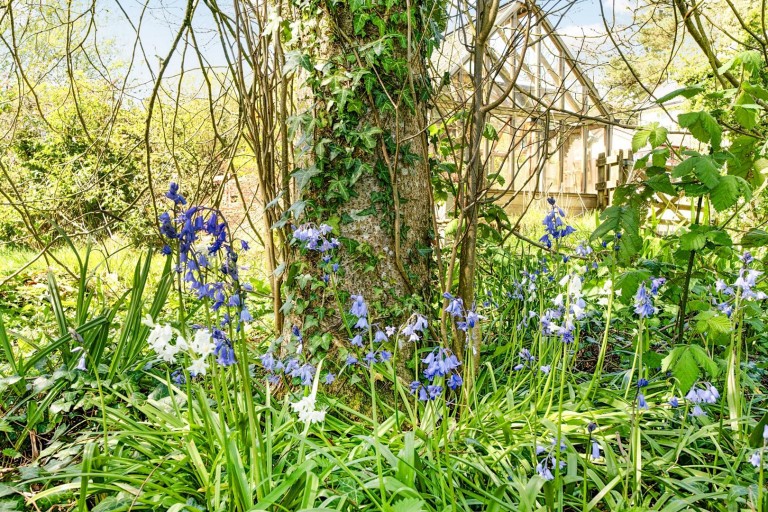 Images for Shute Road, Kilmington, Axminster