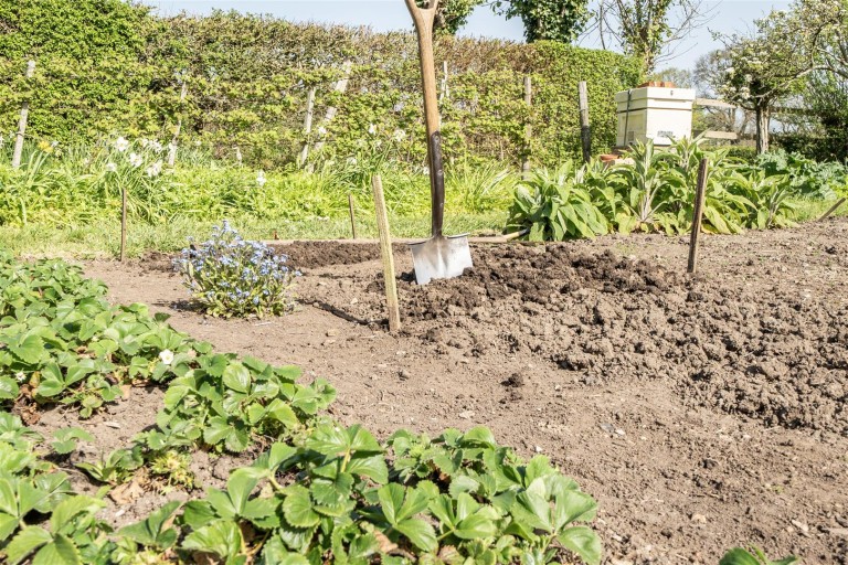 Images for Church Lane, Horton, Ilminster