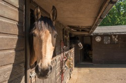 Images for Stockland, Honiton