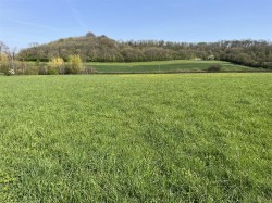Images for Somerton