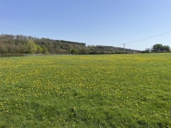 Images for Somerton