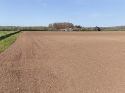 Images for Catsgore, Somerton