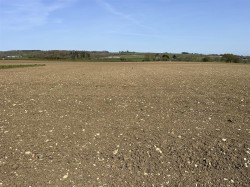 Images for Catsgore, Somerton