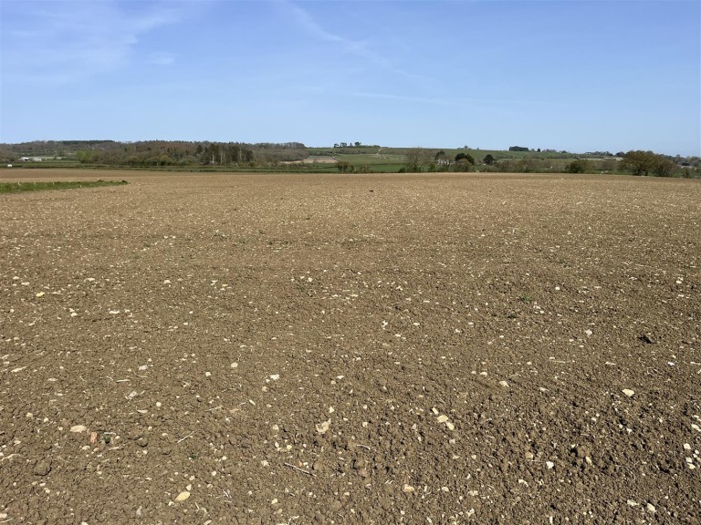 Images for Catsgore, Somerton