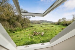 Images for Bicknoller, Taunton