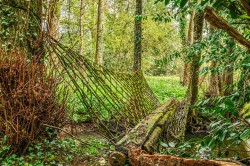 Images for Coppice Lane, Sandford, Crediton