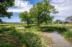 Images for Nynehead, Wellington