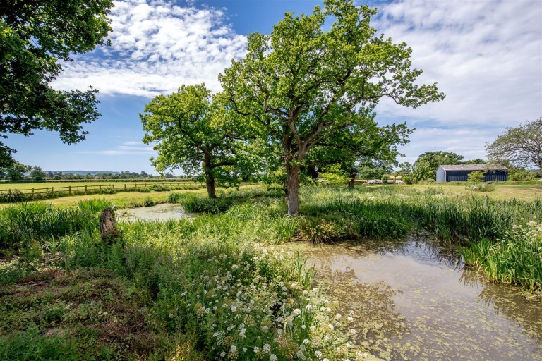 Images for Nynehead, Wellington