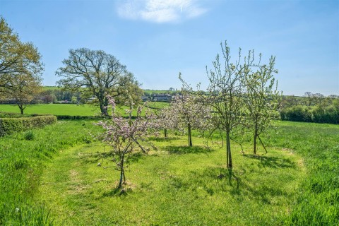 Click the photo for more details of Knowle, Crediton